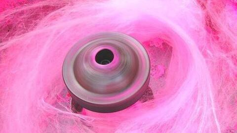 sunnyeatsplants header picture leakfans.com