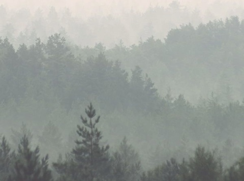 sunnynorthwest header picture leakfans.com