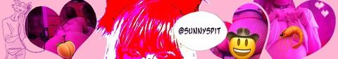 sunnyspit header picture leakfans.com