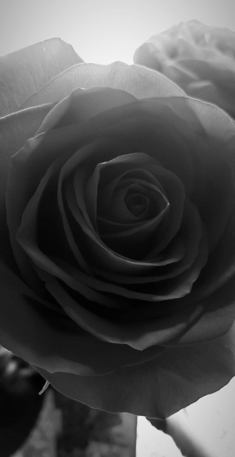 supa_kidd header picture leakfans.com