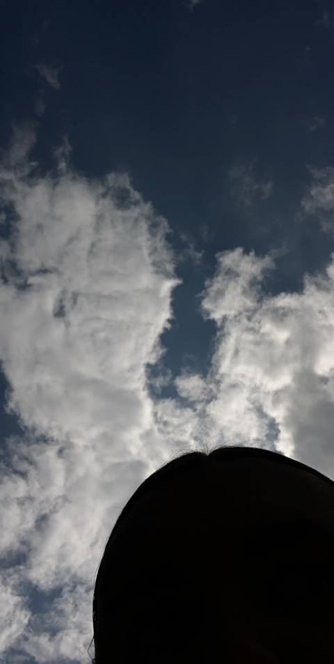 surgesex header picture leakfans.com