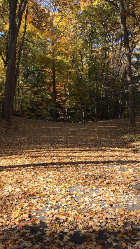 swags header picture leakfans.com