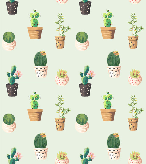 swarkles header picture leakfans.com