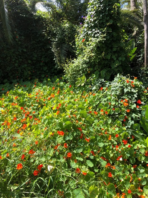 sweeeetcinnamon header picture leakfans.com