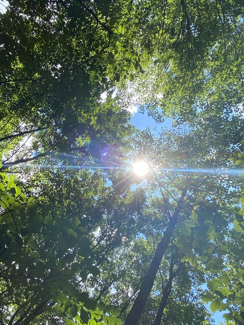 sweet_boriqua header picture leakfans.com