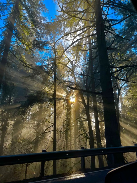 sweet_violet_ray header picture leakfans.com