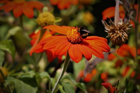 sweetcherrypie18 header picture leakfans.com