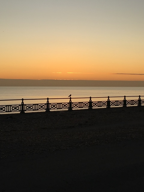 sweetcinnamonbun header picture leakfans.com