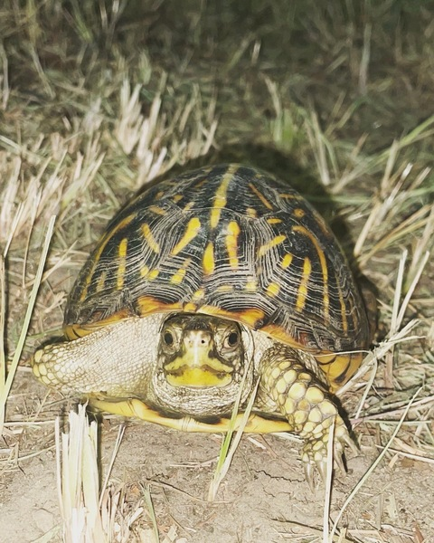 sweetcountrylove header picture leakfans.com