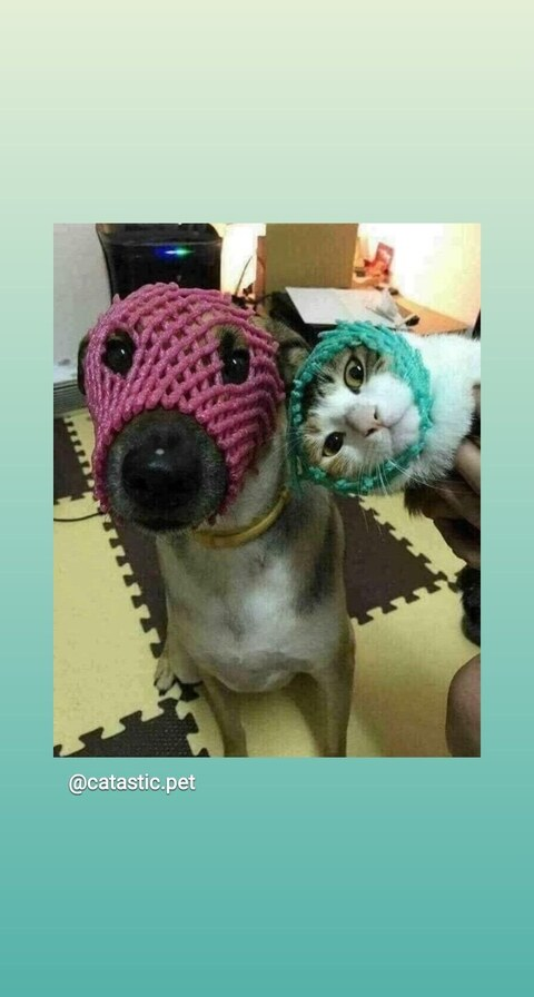 sweetest_lemon header picture leakfans.com