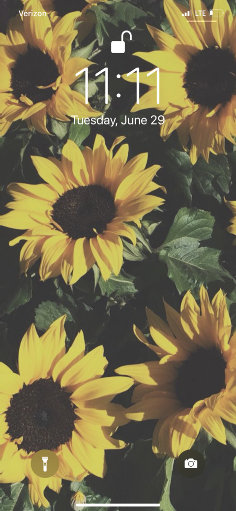 Header of sweetness444