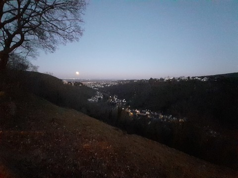 sweetnora header picture leakfans.com