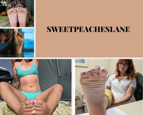 Header of sweetpeacheslane