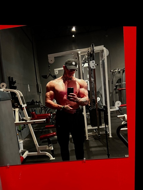 swiftshredz header picture leakfans.com