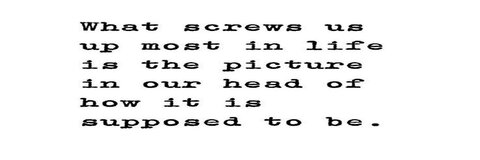 switch.daddy header picture leakfans.com