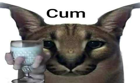 syetlana header picture leakfans.com