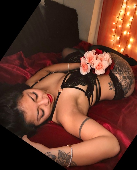 sylver_bear header picture leakfans.com