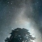 synesir profile picture leakfans.com