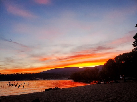 t-lex header picture leakfans.com