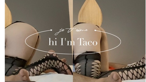 Header of tacoishere