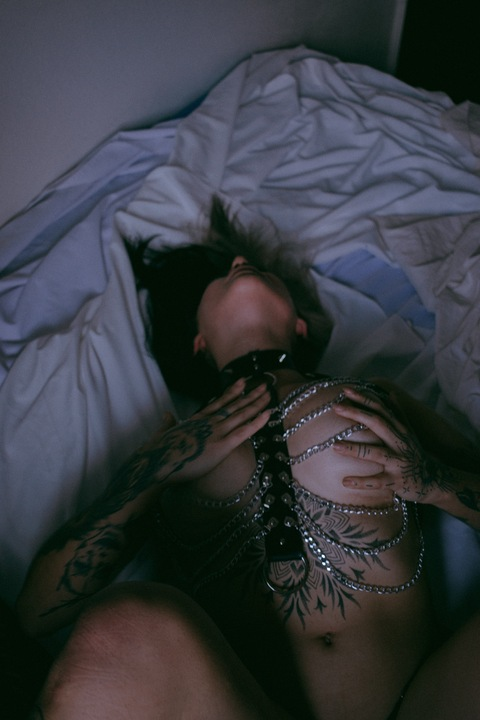 taisecaurio header picture leakfans.com