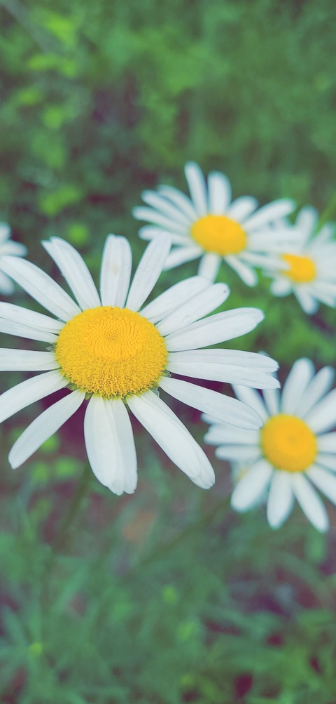 takes2-2tango header picture leakfans.com