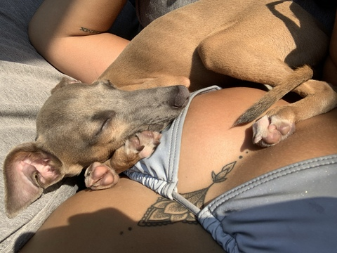 talia_88 header picture leakfans.com