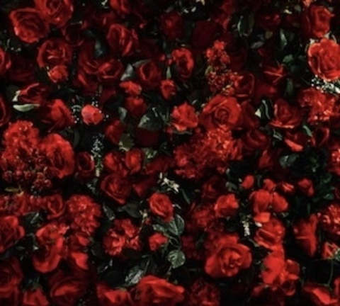 tamaguccii header picture leakfans.com