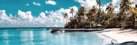 tannerhallxxx header picture leakfans.com