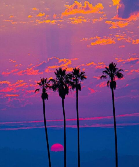 taracedres header picture leakfans.com