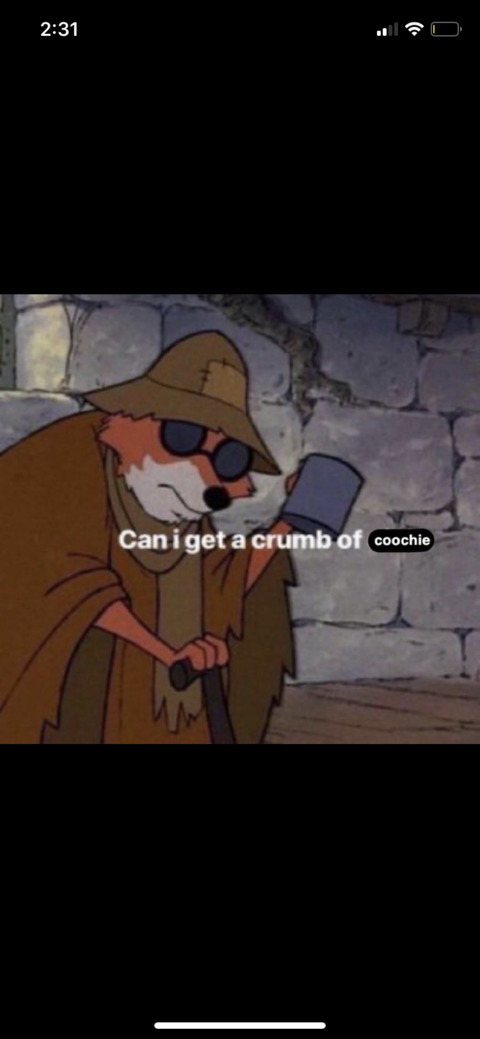 tastefulnewp header picture leakfans.com