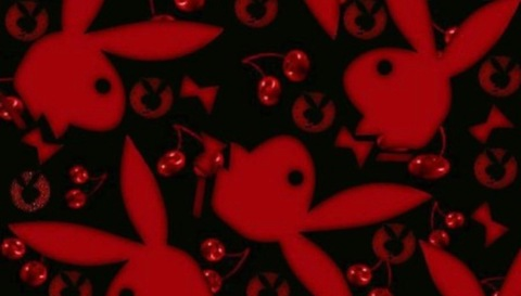 tastelikekandii01 header picture leakfans.com