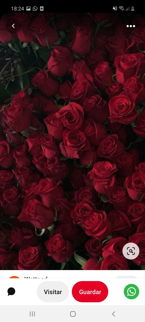 tatianacortezzz header picture leakfans.com