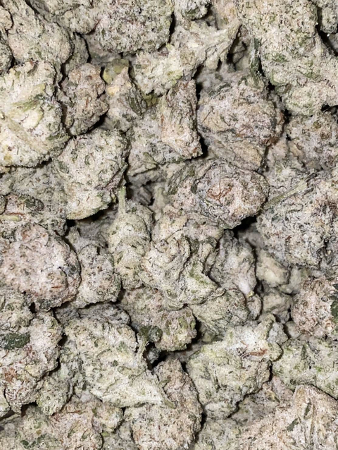 tatiiprincess header picture leakfans.com