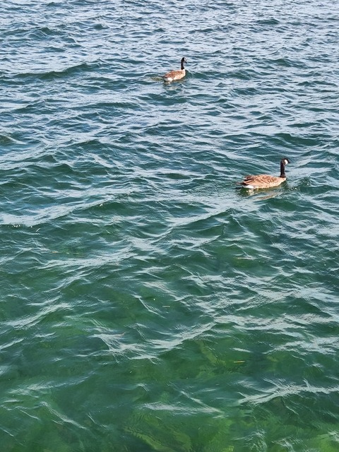 tattedaltbaddie68 header picture leakfans.com