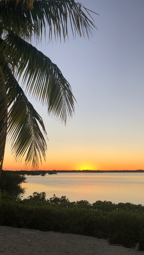 tattedcurvy header picture leakfans.com