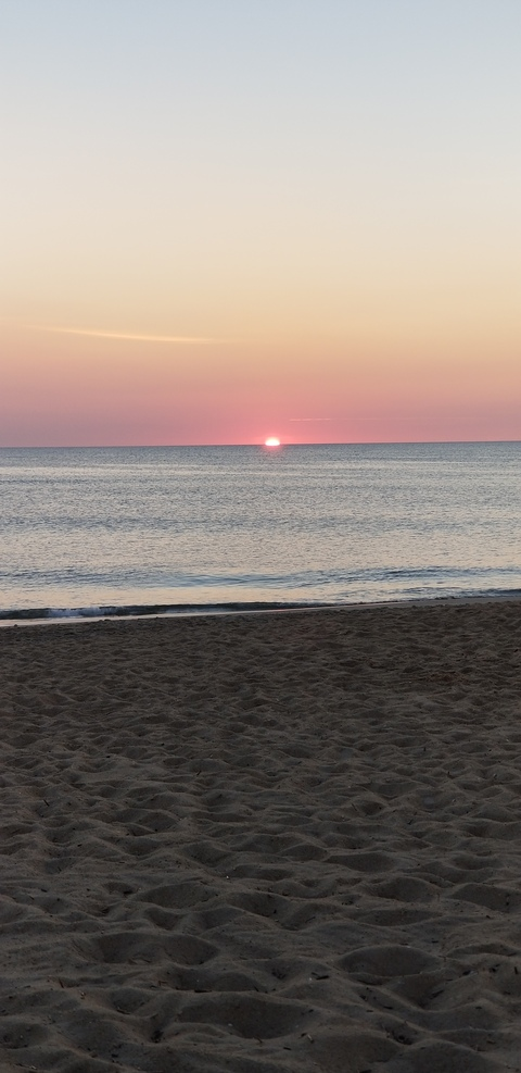 tattoodfreakva header picture leakfans.com