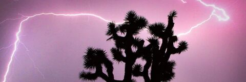 tatu_77 header picture leakfans.com