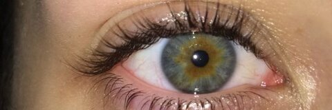 taylirwithani header picture leakfans.com