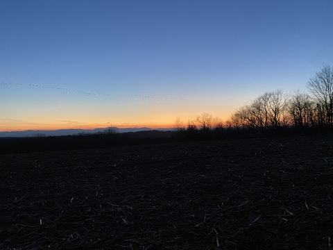 taytay518 header picture leakfans.com