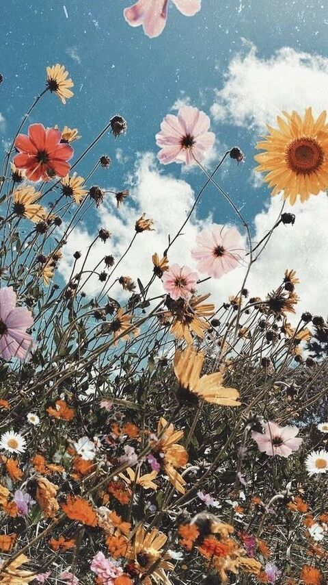 tbaby202 header picture leakfans.com