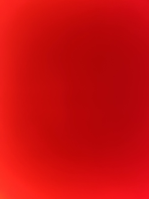 teddybear98 header picture leakfans.com