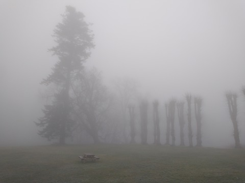 teeshirt10 header picture leakfans.com