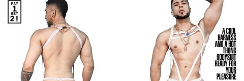 teo.swt.97 header picture leakfans.com