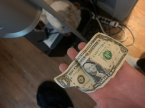 testuserson header picture leakfans.com