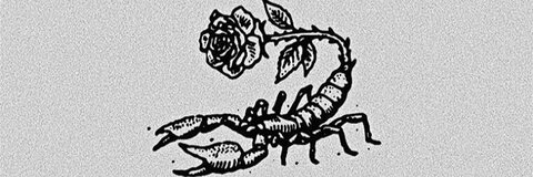 texasekkk header picture leakfans.com