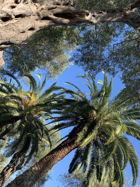 thatgirl1000 header picture leakfans.com