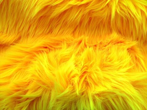 thatgirlkarli header picture leakfans.com