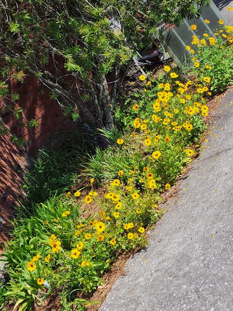 thatguyjuice86 header picture leakfans.com