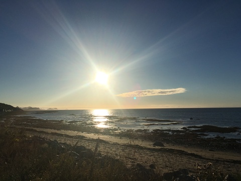 thatneighbour header picture leakfans.com